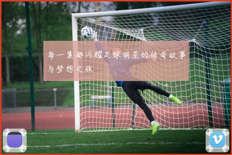 每一集都闪耀足球明星的传奇故事与梦想之旅
