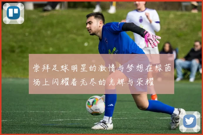 崇拜足球明星的激情与梦想在绿茵场上闪耀着无尽的光辉与荣耀