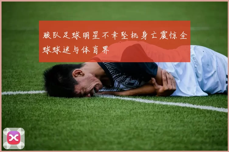 狼队足球明星不幸坠机身亡震惊全球球迷与体育界