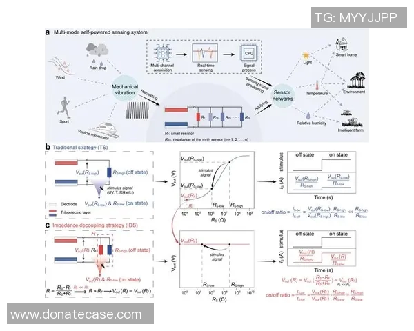 专访赵伟：深入探讨DOTA2成功背后的策略与团队精神