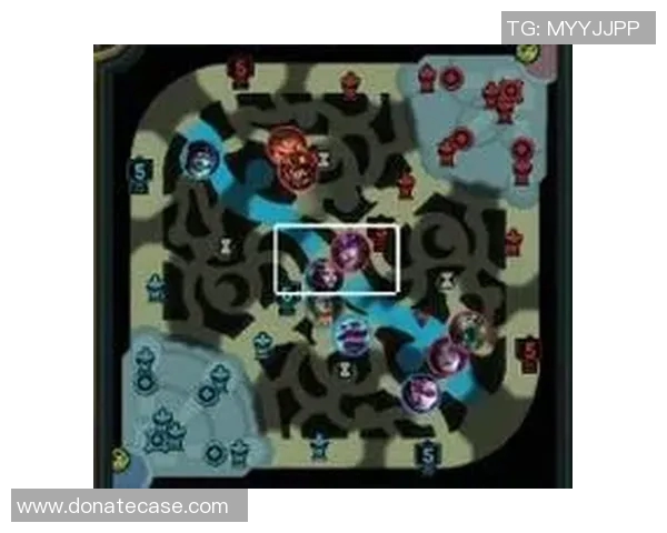 深入分析JDG战队的节奏掌控与战术运用策略