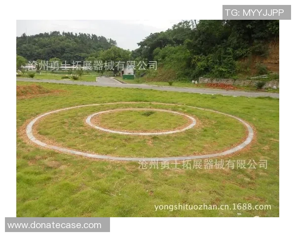 北京极限运动队反击战术全解析与实战应用探讨